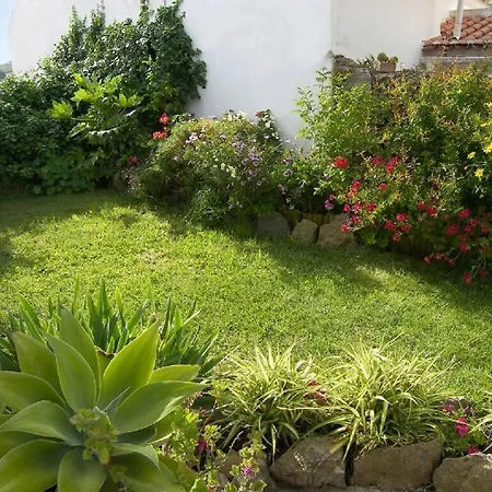 Secret Garden - Romantic With Patio And Pool - Privacy Feriehus Reguengo Grande